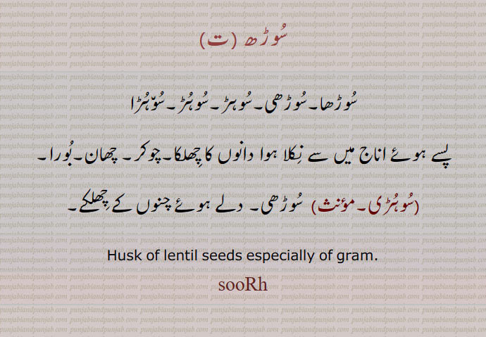 سوڑھ, سوڑھا۔سوڑھی۔سوہڑ۔سوہڑ۔سوہڑا
پسے ہوئے اناج میں سے نکلا ہوا دانوں کا چھلکا۔چوکر۔ چھان۔بورا,سوہڑی, سوڑھی۔ دلے ہوئے چنوں کے چھلکے۔
Husk of lentil seeds especially of gram., sooRh, ਸੂਹੜ, soorh,soorha,soorhi, ਸੂੜ੍ਹ,ਸੂੜ੍ਹਾ, سوہڑی, ਸੂੜ੍ਹੀ,سوڑھا, سوڑھی,سوہڑ, سوہڑ, سوہڑا 
سوڑا, saura, ਸਉਡ਼ਾ, ਸੌਡ਼ਾ, ਸੂਡ਼੍ਹਾ,پینے کے قابل پانی نہیں   ,
