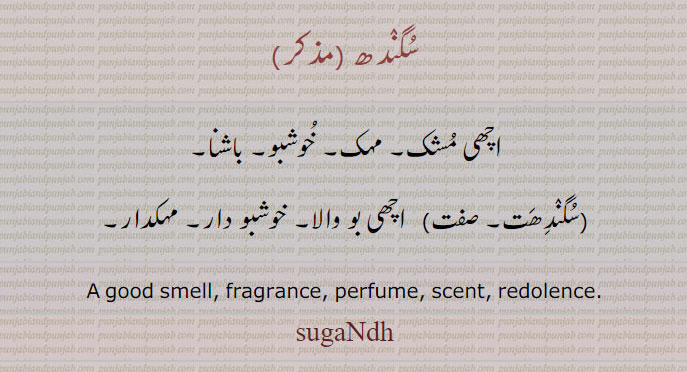 سگندھ ,
اچھی مشک۔ مہک۔ خوشبو۔ باشنا۔
,سگندھت, اچھی بو والا۔ خوشبو دار۔ مہکدار۔
A good smell, fragrance, perfume, scent, redolence.
sugaNdh, سگندھ,sugaNdh, ਸੁਗੰਧ