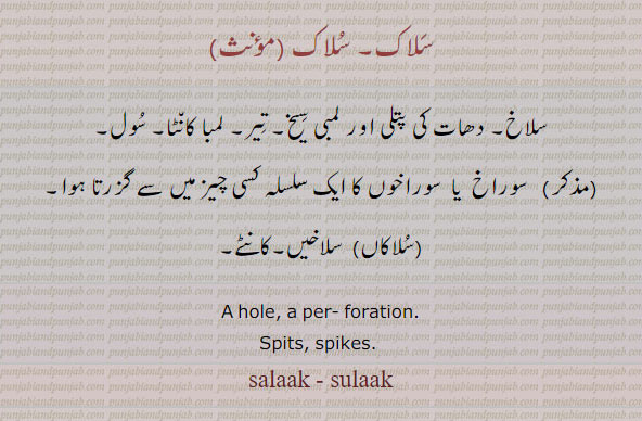 ,سلاک, سلاکاں,سلاخ,سلاکاں,سلاخاں, salaak, salak,sulaak, ਸੁਲਾਕ, sulaakaaN, ਸੁਲਾਕਾਂ, salaak, sallaakaN,,hole. per fortaion. spits. spikes. 
دھات کی پتلی لمبی سیخ۔ لمبا کانٹا۔ سول۔سلاخیں۔