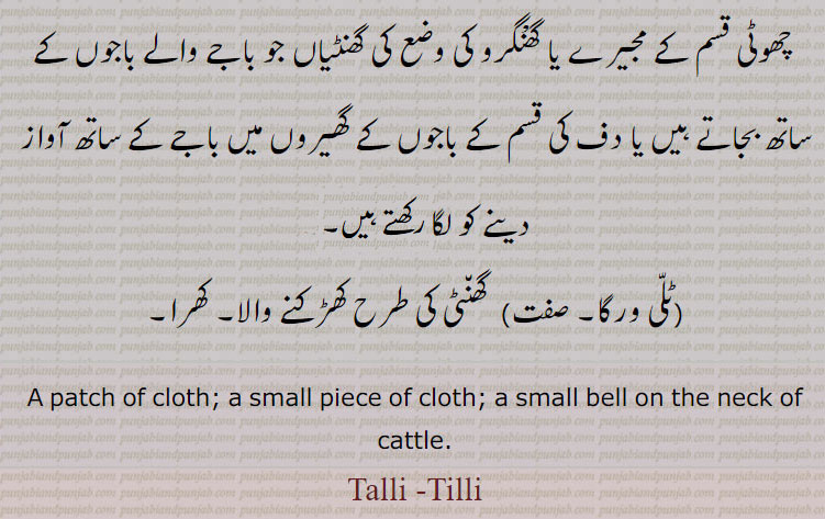  ٹلی, ,Tilli,,Tallee,  Talli,  ਟੱਲੀ, ٹلی ورگا,لیر,ٹاکی, 
patch of cloth. small bell. مویشی کے گلے کی گھنٹِ۔ ٹبی۔کھرا۔ 