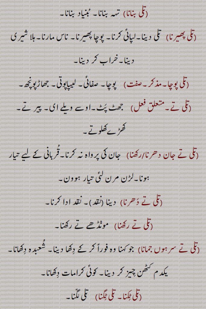 تلی بنانا, تہہ بنانا۔ بنیاد بنانا,تلی پھیرنا, تلی دینا۔لپائی کرنا۔ پوچا پھیرنا,ناس مارنا۔ہلا شیری دینا۔خراب کر دینا,تلی پوچا,  پوچا۔ صفائی۔ لیپاپوتی۔ جھاڑپونچھ,تلی تے,   جھٹ پٹ۔اوسے ویلے ای۔ پیر تے۔ کھڑےکھلوتے,تلی تے جان دھرنا/رکھنا,  جان کی پرواہ نہ کرنا۔قربانی کے لیے تیار ہونا۔لڑن مرن لئی تیار ہوون,تلی تے دھرنا, دینا (نقد)۔ نقد ادا کرنا,تلی تے رکھنا,مونڈھے تے رکھنا,تلی تے سرہوں جمانا, جو کہنا وہ فوراً کر کے دکھا دینا۔ شعبدہ دکھانا۔ یکدم کٹھن چیز کر دینا۔ کوئی کرامات دکھانا,تلی ٹکنا۔ تلی ٹگنا,  تلی لگنا,تلی ٹیک, اس طرح بیٹھنا کہ تلیاں زمین پر لگی ہوں۔ گانڈو۔
