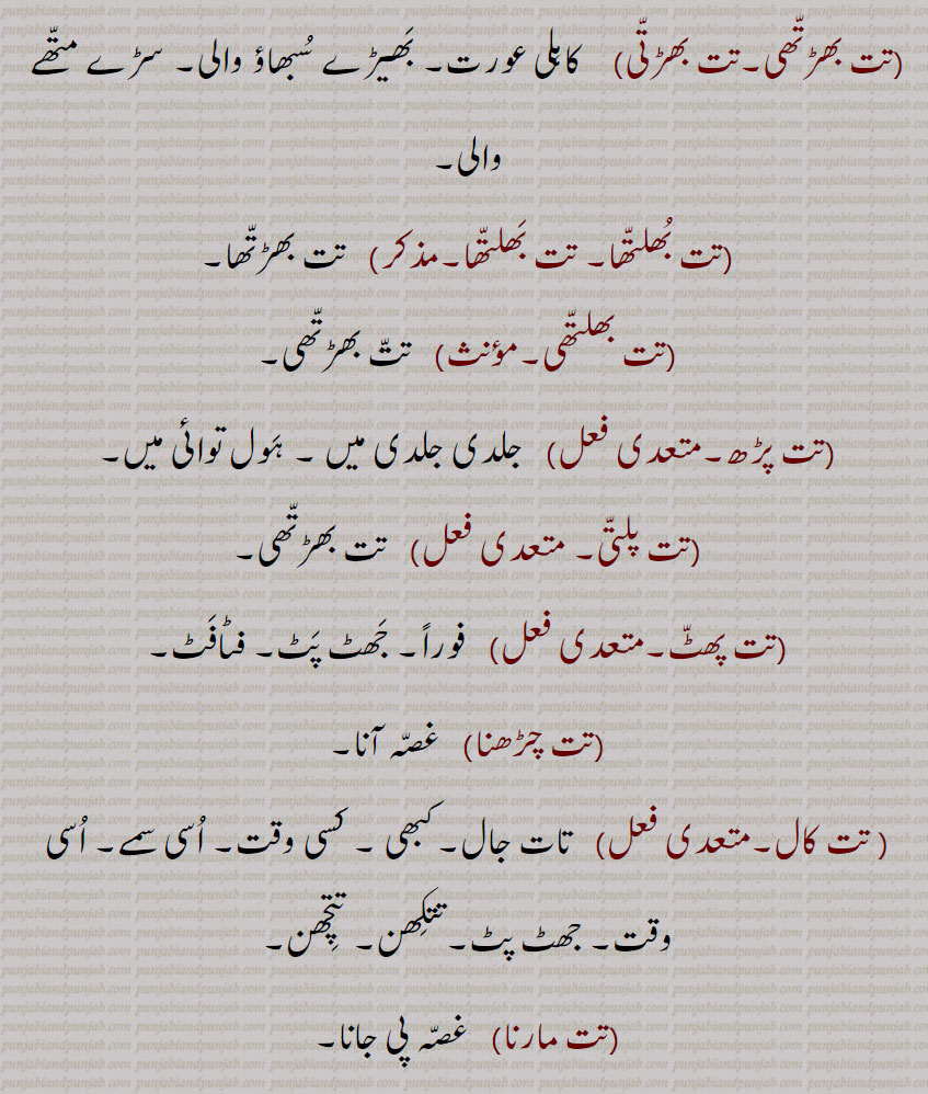   کاہلی عورت۔ بھیڑے سبھاؤ والی۔ سڑے متھے والی,تت بھلتھا۔ تت بھلتھا, تت بھڑتھا,تت بھلتھی,  تت بھڑتھی,تت پڑھ,  جلدی جلدی میں ۔ ہول توائی میں,تت پلتی,تت بھڑتھی,تت پھٹ, فوراً۔ جھٹ پٹ۔ فٹافٹ,تت چڑھنا,غصہ آنا, تت کال, تات جال۔کبھی ۔ کسی وقت۔ اسی سمے۔ اسی وقت۔ جھٹ پٹ۔تتکھن۔ تتچھن,تت مارنا, غصہ پی جانا,