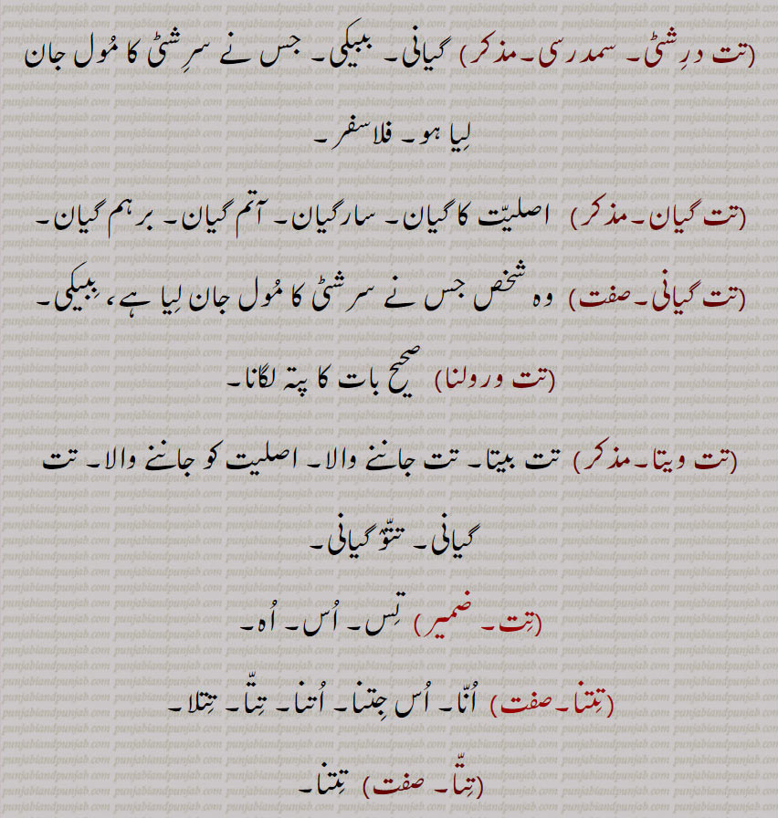 تت درشٹی۔ سمدرسی,  گیانی۔ ببیکی۔ جس نے سرشٹی کا مول جان لیا ہو۔ فلاسفر,تت گیان,  اصلیت کا گیان۔ سارگیان۔ آتم گیان۔ برہم گیان,تت گیانی,وہ شخص جس نے سرشٹی کا مول جان لیا ہے، ببیکی,تت ورولنا, صحیح بات کا پتہ لگانا,تت ویتا, تت بیتا۔ تت جاننے والا۔ اصلیت کو جاننے والا۔ تت گیانی۔ تتو گیانی, تس۔ اس۔ اہ,تتنا,  انا۔ اس جتنا۔ اتنا۔ تتا۔ تتلا,تتا, تتنا۔
