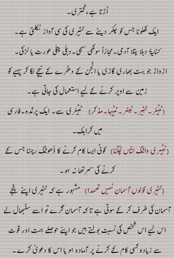  ایک کھلونا جس کو چکر دینے سے ٹٹیری کی سی آواز نکلتی ہے, کنایۃً دبلا پتلا آدمی۔مجازاً سوکھی سہمی۔دبلی پتلی عورت یا لڑکی,اڑواڑ جو بہت بھاری گاڑی یا انجن کے دھرے کے  نیچے لگا کر پہیے کو زمین سے اوپر کرنے کے لیے استعمال کی جاتی ہے,ٹٹیہر۔ٹٹیر۔ٹیٹہر۔ٹٹیہا,  ٹٹیہری سے۔ ایک پرندہ۔فارسی میں کرابک,ٹٹیہری وانگ لتاں چکنا, کوئی ایسا کام کرنے کا ڈھونگ رچنا جس کے کرنے کی سمرتھا نہ ہو,ٹٹیری کولوں آسمان نہیں تھمدا,