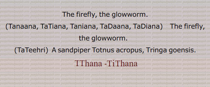 The firefly, the glowworm.,Tanaana, TaTiana, Taniana, TaDaana, TaDiana,  The firefly, the glowworm. ,TaTeehri,  A sandpiper Totnus acropus, Tringa goensis.
tat-hana, tithana,ta'thana, ti'thana, , Tanaana, Taniana, TaDaana, TaDiana,  ਟਡਾਣਾ, ਟਡਿਆਣਾ, ਟਣਾਣਾ, ਟਣਿਆਣਾ ,TTeehri, TaTihri,, TaTeehri, ਟਟੀਹਰੀ, ,tathana , tithana,ਟਟੀਰੀ, TTeeri, TaTiri,, TaTeeri, ٹٹیری, جگنو ,,ٹٹیہری , 
plover, laping, peewit, pewit, sandpiper, bird, پرندہ,  ,insect ,کیڑا 