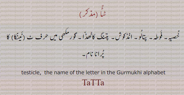 ,ٹٹا,tatta, ਟੱਟਾ,  ਤ,ٹ , ٹینکا,  testicle.
A testicle. The name of the letter in the Gurmukhi alphabet
خصیہ  فوطہ  پتالو  انڈکوش  پتنگ کاٹھڈا،