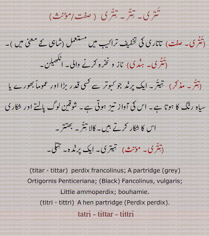  تتری۔ تتر,  تاتاری کی تخفیف تراکیب میں مستعمل ,  ناز و نخرہ کرنے والی۔ اٹکھیلن, تیتر۔ ایک پرند جو کبوتر سے کسی قدر بڑا اور عموماً بھورے یا سیاہ رنگ کا ہوتا ہے۔ اس کی آواز تیز ہوتی ہے۔ شوقین لوگ پالتے اور شکاری اس کا شکار کرتے ہیں۔کالا تتر۔ بھتتر,  تیتری۔ ایک پرندہ۔ تتلی۔
,tittar , titar,  perdix francolinus; A partridge, Ortigornis Penticeriana;   Fancolinus, vulgaris;, Little ammoperdix; bouhamie., titri,tittri, A hen partridge ,Perdix perdix,.
tatri, tittar, tittri,تتری,تتر,