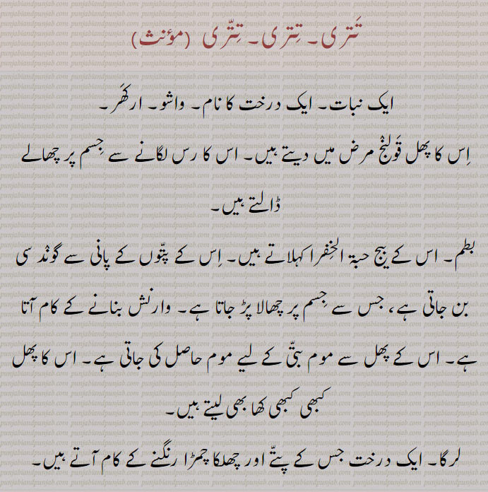 تتری,ایک نبات۔ ایک درخت کا نام۔ واشو۔ ارکھر۔
اس کا پھل قولنج مرض میں دیتے ہیں۔ اس کا رس لگانے سے جسم پر چھالے ڈالتے ہیں۔
بطم۔ اس کے بیج حبۃ الخفرا کہلاتے ہیں۔ اس کے پتوں کے پانی سے گوند سی بن جاتی ہے، جس سے جسم پر چھالا پڑ جاتا ہے۔ وارنش بنانے کے کام آتا ہے۔ اس کے پھل سے موم بتی کے لیے موم حاصل کی جاتی ہے۔ اس کا پھل کبھی کبھی کھا بھی لیتے ہیں۔
لرگا۔ ایک درخت جس کے پتے اور چھلکا چمڑا رنگنے کے کام آتے ہیں۔