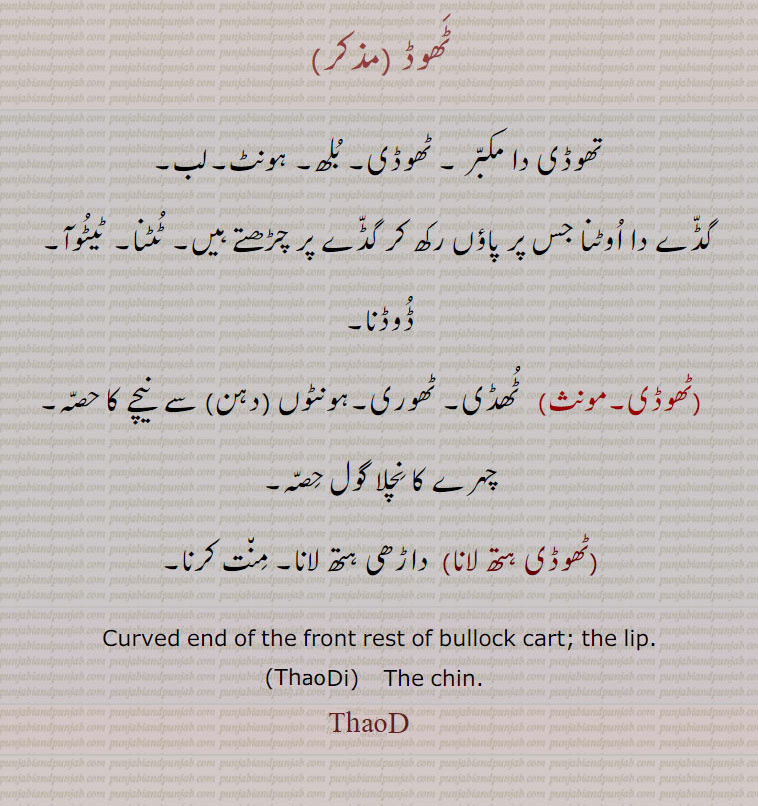 ٹھوڈ,  تھوڈی دا مکبر ۔ ٹھوڈی۔ بلھ۔ ہونٹ۔لب۔
 گڈے دا اوٹنا جس پر پاؤں رکھ کر گڈے پر چڑھتے ہیں۔ ٹٹنا۔ ٹیٹوآ۔ ڈوڈنا, ٹھوڈی, ٹھڈی۔ ٹھوری۔ہونٹوں (دہن) سے  نیچے کا حصہ۔چہرے کا نچلا گول حصہ,ٹھوڈی ہتھ لانا,داڑھی ہتھ لانا۔ منت کرنا, Curved end of the front rest of bullock cart; the lip., ThaoDi,  The chin.
thaoD,
 ٹھوڈ ,ٹھوڈی, ٹھوڈی ہتھ لانا,thaod  , ਠੋਡ , Thaudi,   ਠੋਡੀ,