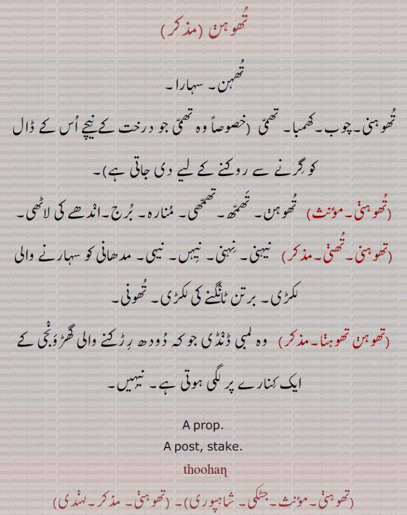 تھوہن ,تھہن۔ سہارا,تھوہنی۔چوب۔کھمبا۔ تھمی ,تھوہنی,  تھوہن۔ تھمھ۔تھمھی۔ منارہ۔ برج۔اندھے کی لاٹھی,تھوہنی۔تھنی, نیہنی۔ نہنی۔ نیہں۔ نیہی۔ مدھانی کو سہارنے والی لکڑی۔ برتن ٹانگنے کی لکڑی۔ تھونی,تھوہن تھوہنا, وہ لمبی ڈنڈی جو کہ دودھ رڑکنے والی گھڑونجی کے ایک کنارے پر لگی ہوتی ہے۔ نیہیں۔
A prop. A post, stake., 
thoon, تھوہن ,thoohan,thun,thuhan, ਠੂਣ، thoohani, thuhani, thoohani, thuhanri,تھوہن, تھوہنی,تھنی, تھوہن تھوہنا,تھمی , تھونی, تھمھ, نیہنی, نہنی, نیہں, نیہی, نیہیں
