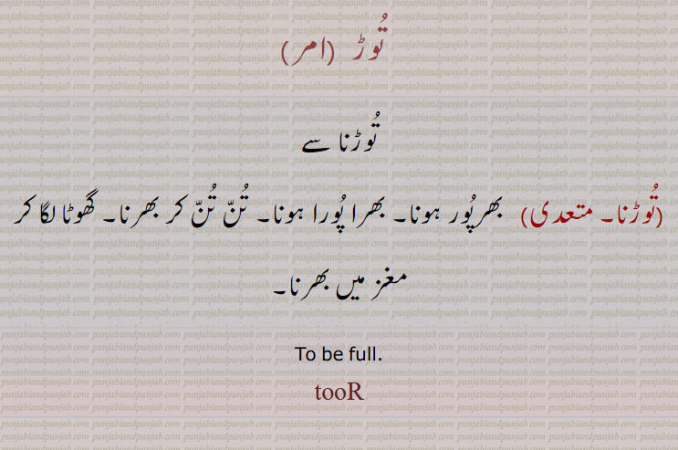  تُوڑ ,توڑنا, بھرپور ہونا۔ بھرا پورا ہونا۔ تن تن کر بھرنا۔ گھوٹا لگا کر مغز میں بھرنا,tooR,tuR,, ਤੂਡ਼,ਤੂੜ , ਤੂਡ਼ਣਾ,ਤੂੜਨਾ,