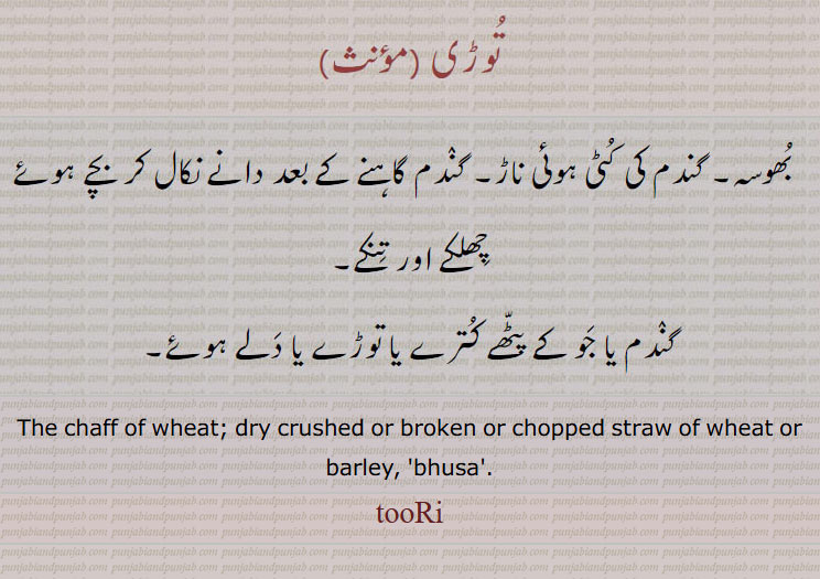توڑی,تُوڑی, بھوسہ, گندم کی کٹی ہوئی ناڑ۔ گندم گاہنے کے بعد دانے نکال کر بچے ہوئے چھلکے اور تنکے,گندم یا جو کے پٹھے کترے یا توڑے یا دلے ہوئے۔
Wheat chaff, Straw ,bhusa, toori,turi, ਤੂਰੀ, ਤੂਡ਼ੀ