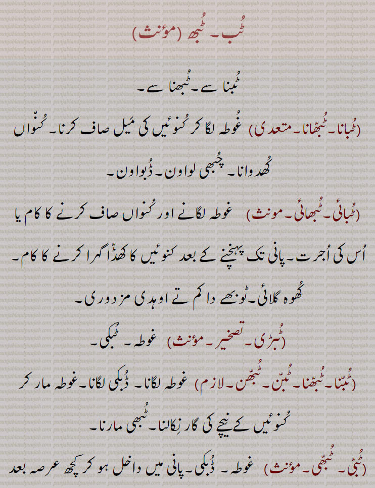 ٹب۔ ٹبھ ,ٹبانا۔ٹبھانا, غوطہ لگا کر کنوئیں کی میل صاف کرنا۔ کنواں کھدوانا۔ چبھی لواون۔ڈبواون,ٹبائی۔ٹبھائی,غوطہ لگانے اور کنواں صاف کرنے کا کام یا اس کی اجرت۔پانی تک پہنچنے کے بعد کنوئیں کا کھڈا گہرا کرنے کا کام۔ کھوہ گلائی۔ٹوبھے دا کم تے اوہدی مزدوری,ٹبڑی, غوطہ۔ ٹبکی,ٹبنا۔ٹبھنا۔ٹبن۔ٹبھن,غوطہ لگانا۔ ڈبکی لگانا۔غوطہ مار کر کنوئیں کے نیچے کی گار نکالنا۔ٹبھی مارنا,ٹبی۔ ٹبھی, غوطہ۔ ڈبکی۔پانی میں داخل ہو کر کچھ عرصہ بعد نکل آنا۔چبھی,ٹبا۔ٹبھا, ٹوبھا۔ٹوبہ۔تالاب,ٹبائی ڈالنا,  پھانسی دینا,ٹبکی, ٹبھی۔ چبھی۔ ڈبکی۔ایک طرح کی چھوٹی مرغابی,
 ٹبدا , ٹبیا , ٹبسی،ٹبیسی، ٹبے دا,