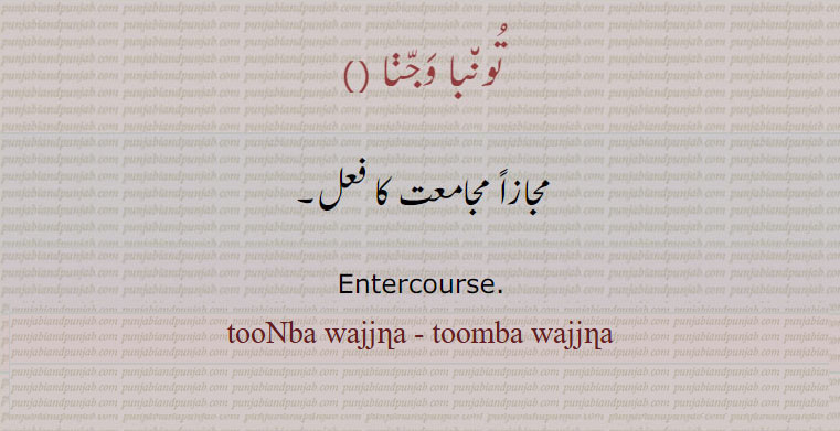 تونبا وجںا ,tumba vajjana, ਤੂੰਬਾ ਵੱਜਣਾ, abuse, swear word, abusive word, گالی ,slang,curse,Punjabi slang,,تُون٘با وَجّڽا ,