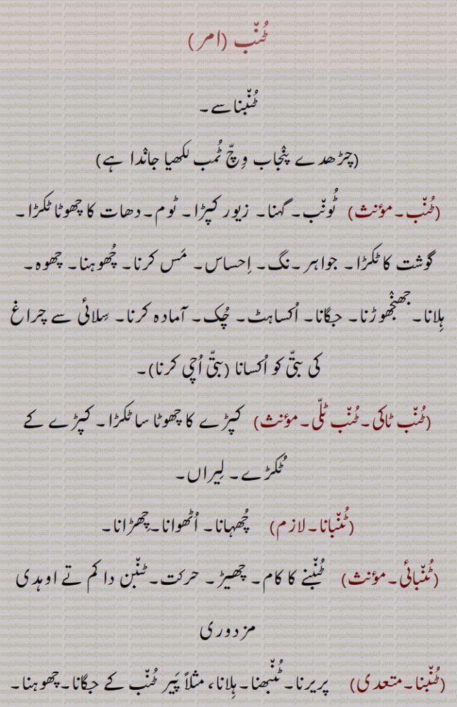 ٹنب,ٹنبناسے, ٹمب ,ٹنب,  ٹونب۔ گہنا۔ زیور کپڑا۔ ٹوم۔دھات کا چھوٹا ٹکڑا۔گوشت کا ٹکڑا۔ جواہر۔نگ۔ احساس۔ مس کرنا۔ چھوہنا۔ چھوہ۔ہلانا۔جھنجھوڑنا۔ جگانا۔ اکساہٹ۔ چک۔ آمادہ کرنا۔ سلائی سے چراغ کی بتی کو اکسانا,ٹنب ٹاکی۔ٹنب ٹلی,  کپڑے کا چھوٹا سا ٹکڑا۔ کپڑے کے ٹکڑے۔ لیراں,ٹنبانا,  چھہانا۔ اٹھوانا۔چھڑانا,ٹنبائی, ٹنبنے کا کام۔ چھیڑ۔ حرکت۔ٹنبن دا کم تے اوہدی مزدوری,ٹنبنا,  پریرنا۔ٹنبھنا۔ہلانا، مثلاً پیر ٹنب کے جگانا۔چھوہنا۔