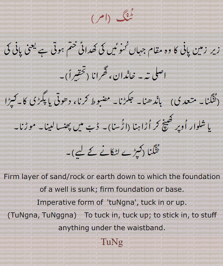 ٹنگ ,زیر زمین پانی کا وہ مقام جہاں کنوئیں کی کھدائی ختم ہوتی ہے یعنی پانی کی اصلی تہ۔ خاندان، گھرانا ,ٹنگنا,  باندھنا۔ جکڑنا۔ مضبوط کرنا، دھوتی یا پگڑی کا۔کپڑا یا شلوار اوپر کھینچ کر اڑاہنا , ڈب میں پھنسا لینا۔ موڑنا۔
ٹنگنا ,
Firm layer of sand/rock or earth down to which the foundation of a well is sunk; firm foundation or base.,Imperative form of  'tuNgna', tuck in or up.,TuNgna, TuNggna,   To tuck in, tuck up; to stick in, to stuff anything under the waistband.
,  ٹُنگ,,  ٹنگ,tung , ਟੁੰਗ,  tungna, tunggna, ਟੁੰਗਣਾ,ٹنگنا 