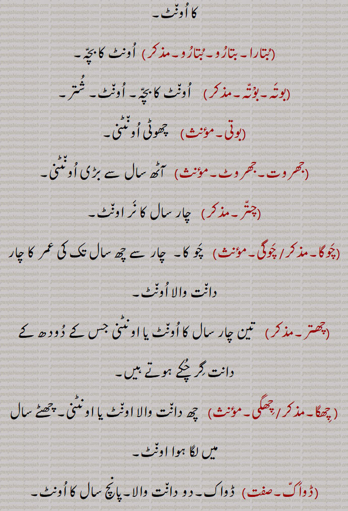 ,toDa, ਤੋਡਾ,توڈا ,
,toDi, ,todi,ਤੋਡੀ,ਤੋਦੀ ,تودی, توڈی,
بتارا۔ بتارُو۔ بُتارُو, butaara, ਬੁਤਾਰਾ, ਬਤਾਰੂ, ਬੁਤਾਰੂ,
,jharot,   ਝਰੋਤ,,جھروت,جھروٹ, 
چتّر, chattar, ਚੱਤਰ,
,chaoga,  chaogi,ਚੌਗਾ ,چوگا,چوگی,
,chhattar,   ਚਤੱਰ ,چھتر ,