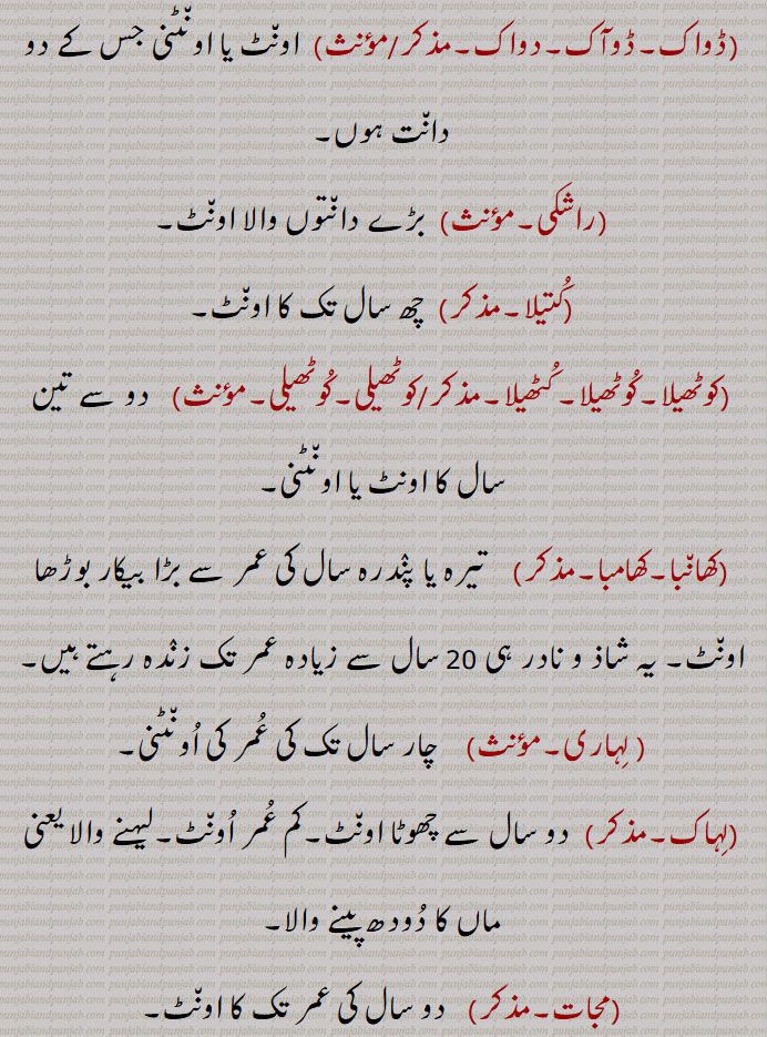 chiga, chhiga,  ਚਿਗਾ , چِھگا, چِگی,, چِگا۔ چِگی
, doak, Doak,,ڈواک,ڈوآک, ਦੋਅਕ , ਡੋਅਕ,
doyak,  ਦੋਯਕ,دویک,    
,raashkl, راشکی,  ਰਾਸ਼ਕੀ,
, kutela,  ਕੁਤੇਲਾ, کُتیلا, 
,kuteli,  ਕੁਤੇਲੀ,کتیلی ,کوٹھیلی,کوٹھیلی,
Kuthela, Kutheli,,کوٹھیلا,کوٹھیلا,کُٹھیلا, ਕੁਠੇਲਾ,
, khhaamba,کھانبا,کھامبا,  ਖਾਂਬਾ,