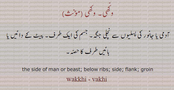 وکھی,wakhi,wakkhi,wakhee,vakhi,vakhee,ਵੱਖੀ, side of man or beast. below ribs,  پسلیوں سے نچلی جگہ۔