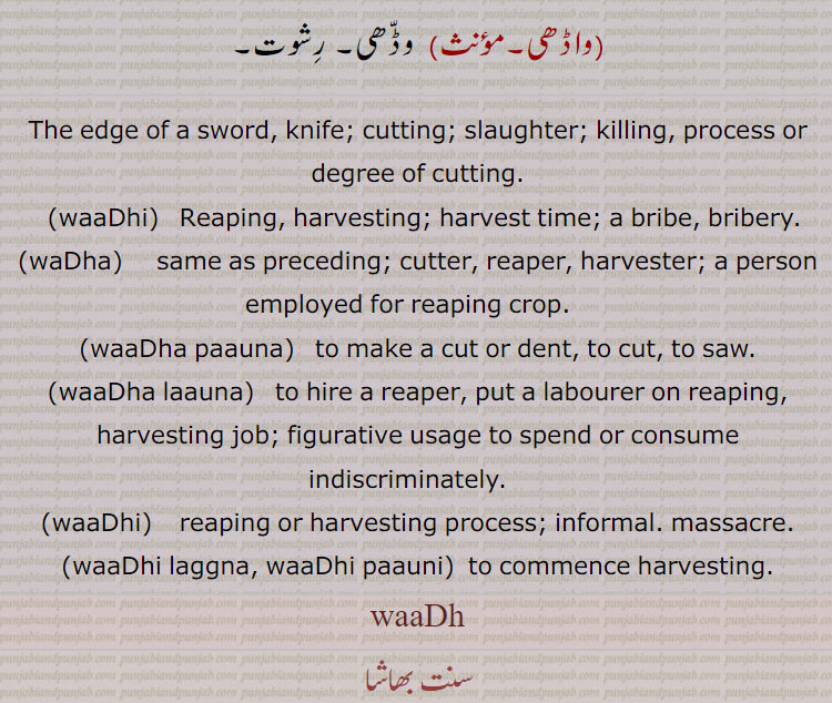 The edge of a sword, knife; cutting; slaughter; killing, process or degree of cutting.,waaDhi,  Reaping, harvesting; harvest time; a bribe, bribery. ,waDha, same as preceding; cutter, reaper, harvester; a person employed for reaping crop.   ,waaDha paauna,   to make a cut or dent, to cut, to saw.,waaDha laauna,   to hire a reaper, put a labourer on reaping, harvesting job; figurative usage to spend or consume indiscriminately.  ,waaDhi,   reaping or harvesting process; informal. massacre.,waaDhi laggna, waaDhi paauni,  to commence harvesting.
, waaDh, واڈھ, wadh,waadh ,واڈھا,واڈھن,واڈھو,واڈھی,واڈٖھیاں,واڈھا,واڈھ پاؤنا,واڈھ ہونا,واڈھی پینا,واڈھی لگنا,واڈھواں,واڈھوٖیاں,واڈھاں,واہڈھڑی,,واڈھی,واڈھی,,waaDh ,ਵਾਢ , ਵੱਢਾ, waaDhi,ਵਾਢੀ,واڈھا ,waDha, ਵਾਢਾ,واڈھا پاؤنا,waaDha paauna, ਵਾਢਾ ਪਾਉਣਾ,واڈھا لاؤنا ,waaDha laauna, ਵਾਢਾ ਲਾਉਣਾ ,واڈھی ,waaDhi,ਵਾਢੀ,واڈھی پاؤنی, واڈھی لگنا,waaDhi laggna,waaDhi paauni,ਵਾਢੀ ਪਾਉਣੀ,ਵਾਢੀ ਲੱਗਣਾ