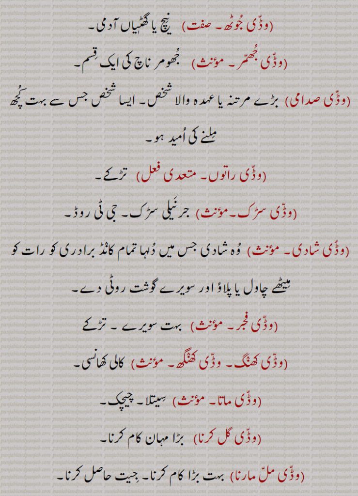 وڈی جوٹھ,وڈی جھمر,وڈی صدامی,وڈی راتوں,وڈی سڑک,وڈی شادی,وڈی فجر,وڈی کھنگ, وڈی کھنگھ,وڈی ماتا,وڈی گل کرنا,وڈی مل مارنا,