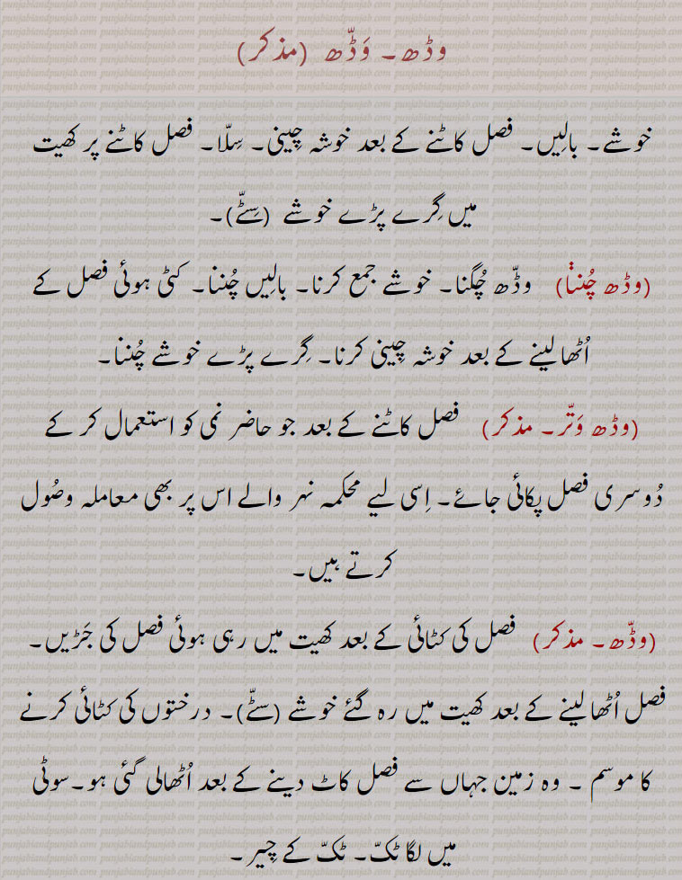 وڈھ چننا,وڈھ وتر,وڈھ,