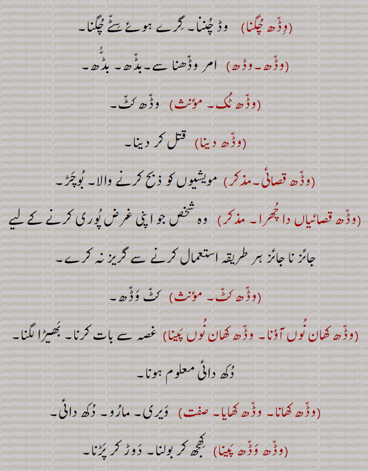  ,وڈھ چگنا,وڈھ۔وڈھ,وڈھ ٹک,وڈھ دینا,وڈھ قصائی,وڈھ قصائیاں دا چھرا,وڈھ کٹ,وڈھ کھان نوں آؤنا, وڈھ کھان نوں پینا,وڈھ کھانا, وڈھ کھایا,وڈھ وڈھ پینا,