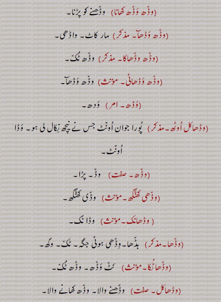 وڈھ وڈھ کھانا,وڈھ وڈھآ,وڈھ وڈھاکا,وڈھ وڈھائی,وڈھ,وڈھاکل اوٹھ,وڈھ,وڈھی کھنگھ,وڈھانک۔,وڈھا,وڈھا ٹکا,وڈھاکل,