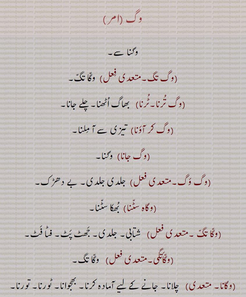 وگ,وگ تگ,وگ ترنا۔وگ ٹرنا,وگ کر آونا,وگ جانا,وگ وگ,وگاہ سٹنا,وگا تگ ,وگاتگی,  وگا تگ,وگانا