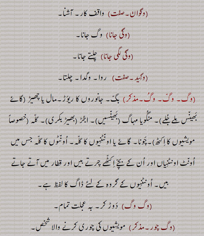 وگوان,وگی جانا,وگی لگی جانا,وگید,وگ,وگ وگ,وگ چور,
