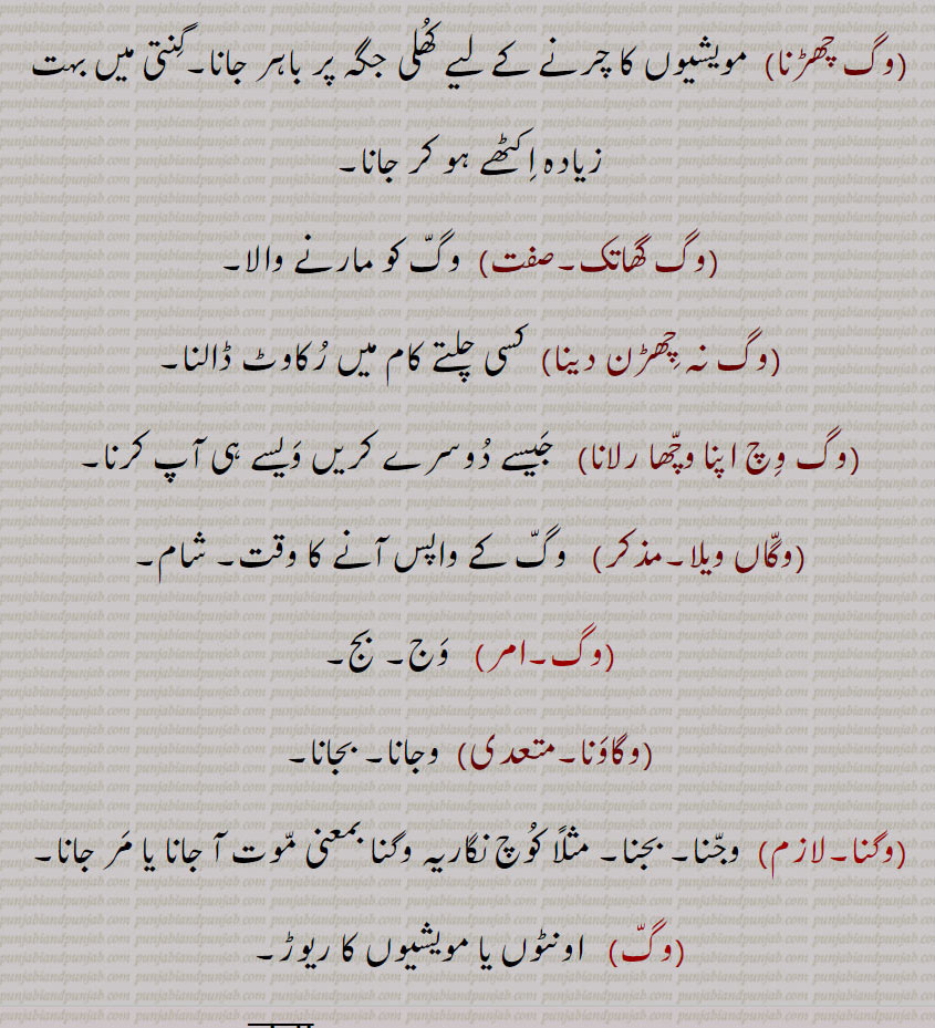 وگ چھڑنا,وگ گھاتک,وگ نہ چھڑن دینا,وگ وچ اپنا وچھا رلانا,وگاں ویلا,وگ,وگاونا,وگنا