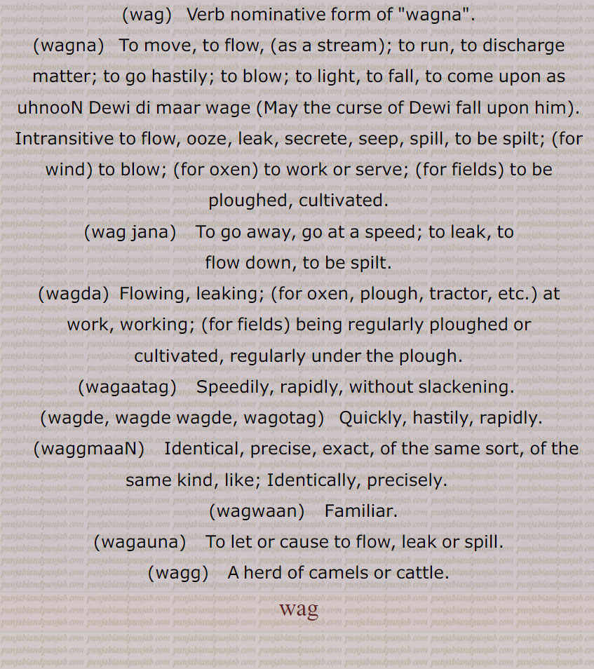  وگ,wag,ਵਗ ,  
    ,wag,wagna,wag jana,wagda,wagaatag,wagde, wagde wagde, wagotag,waggmaaN,wagwaan,wagauna,wagg,wag, ਵਗ, ਵਗਣਾ , ਵਗ ਜਾਣਾ,  ਵਗਦਾ,  ਵਗਾਤਗ ,  ਵਗੋਤਗ,   ਵਗਦੇ ,ਵੱਗਮਾਂ ,   ਵਗਵਾਂ ,  ਵਗਾਉਣਾ,ਵੱਗ, ਵਗ,ਵਗਣਾ,