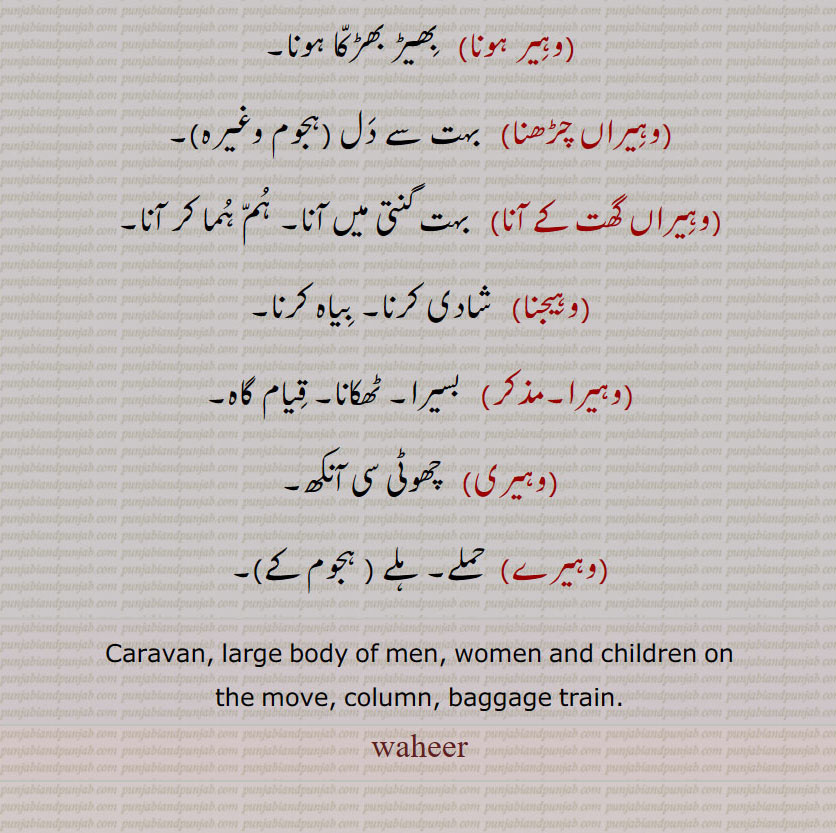  وہیر ہونا, بھیڑ بھڑکا ہونا,وہیراں چڑھنا,وہیراں گھت کے آنا,وہیجنا,  شادی کرنا,وہیرا, بسیرا۔ ٹھکانا,وہیری,   چھوٹی سی آنکھ,وہیرے,  حملے,
Caravan, large body of men, ,
waheer, وہِیر ,   ਵਹੀਰ,