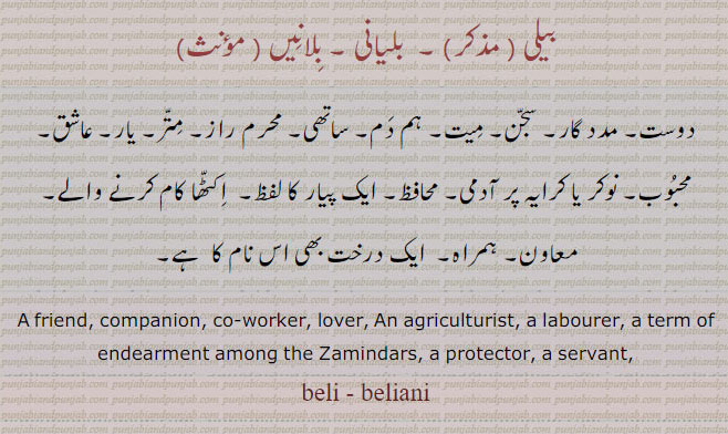 ویلی , ولیانی, ولانیں, بیلی , بلیانی, بلانیں,مددگار,سجن, متر,, , balyani,  , ਵੈਲੀ   , ਬੇਲੀ, beli, weli, bleaani, blaaneen,