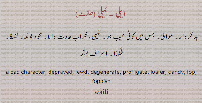 waili, baili, bad character, loafer,وَیلی ,ویلی,بَیلی,غنڈا,لفنگا,