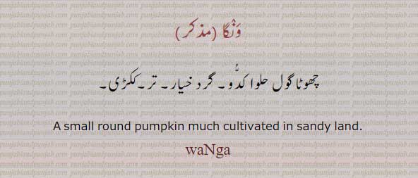 ,وَنگا,ونگا,ککڑی,حلوا کدو,,
wanga, ਵੰਗਾ , A small round pumpkin,