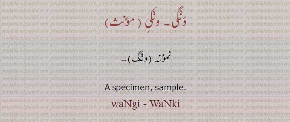 ونگی, ونکی, نمونہ, 
,specimen, sample, wangi, wanki,ਵਣਗੀ,ਵਨਗੀ , ਵਨਕੀ