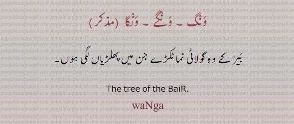 ونگے,وَنگ, وَنگے, وَنگا,
wange, ਵੰਗੇ, The tree of the bair,