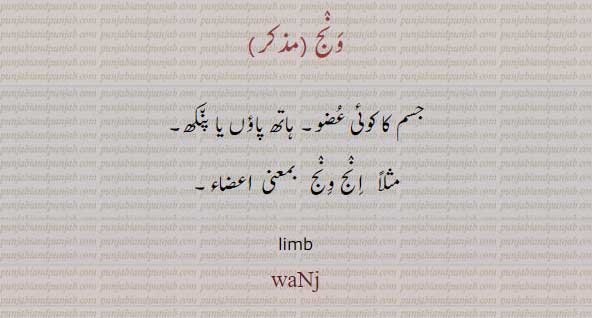 ونج, پنکھ , waNj,ਵਨਜ,ਵੰਝ,جسم کا کوئی عضو,انج ونج,