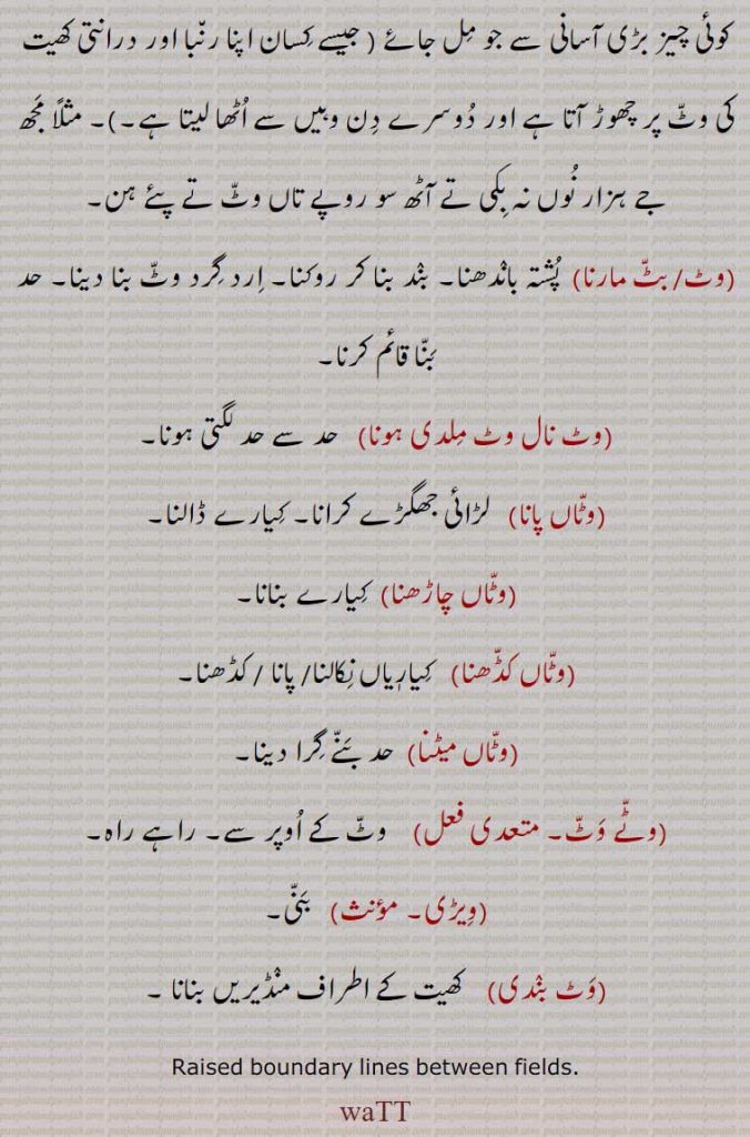  ,وٹ، بٹ مارنا ,وٹ نال وٹ ملدی ہونا,وٹاں پانا,وٹاں چاڑھنا,وٹاں کڈھنا,وٹاں میٹنا,وٹے وٹ,ویڑی,وٹ بندی, منڈیریں بنانا,
Raised boundary fields,watt