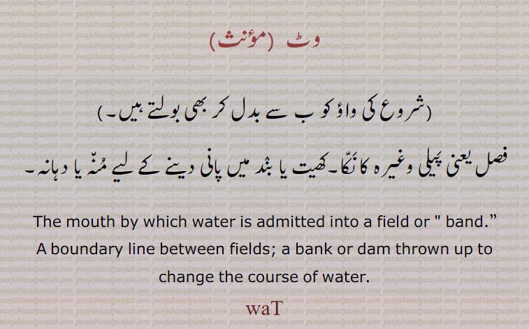 وٹ, waT, waTT ,  بٹ ,
