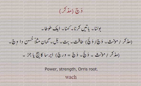  وچ,wach, ਵਚ, ,بولنا,وچ,ایرسا کا بیج جڑ,طوطا ,بت,گمان,