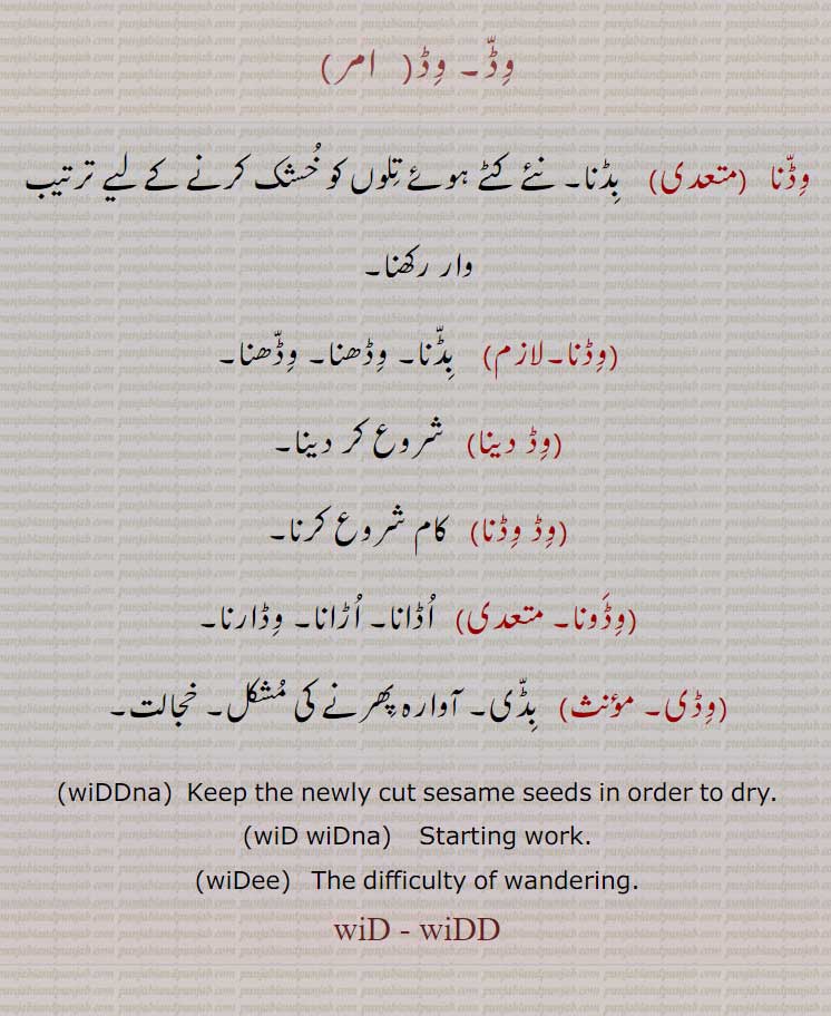  وڈ,wid, widd,وڈی,بڈنا, بڈی,وڈونا,وڈ وڈنا,وڈ دینا,وڈنا
ਵਿੱਡਣਾ, ਵਿੱਡ,ਵਿੱਡੀ, ਬਿੱਡ,ਬਿੱਡੀ
  وڈ,وِڈّ,wid, widdna. wid widna. widi, widee, staring work. ,widd,وڈی,بڈنا, بڈی,وڈونا,وڈ وڈنا,وڈ دینا,وڈنا   