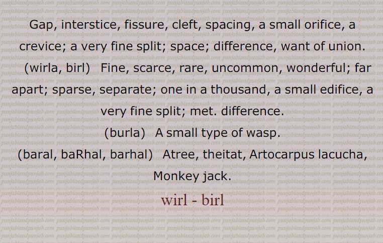 ,wirl , birl, ਵਿਰਲ, ਬਿਰਲ, wirla, birl,  ਬਿਰਲ ,  ਵਿਰਲਾ ,  >
burla. baral. barhal. wirl , birl, ਵਿਰਲ, ਬਿਰਲ, wirla, birl,  ਬਿਰਲ ,  ਵਿਰਲਾ 
gap, interstice, cleft, space, want of union, wasp, monkey jack, theitat, 