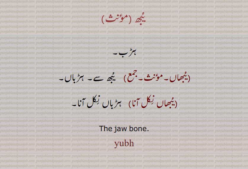    یبھ , یُبھ ,yubh,ਯੁੱਭ,
ہڑواں,ہڑب, ہڑباں,
 jaw bone,