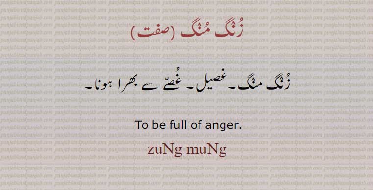 زُنگ مُنگ , زنگ منگ ,  zung-mung, zungmung, 
to be full of anger.
غصیل۔ غصے سے بھرا ہوا۔, , ਜੁੰਗ ਮੁੰਗ  ,