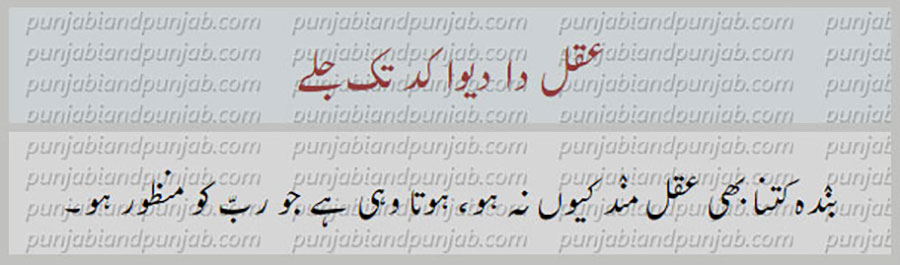 aqal da diwa ,
عقل دا دیوا
کہاوت, اکھوت, اکھان, ضرب المثل, حکایت,ہدایت,مقولہ,proverb, 