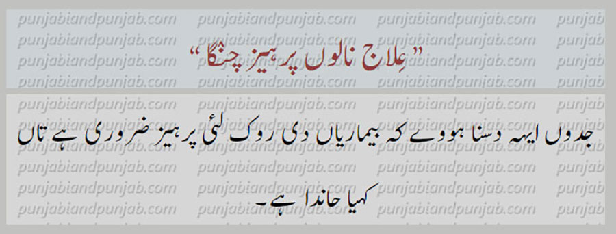 eelaaj naaloN,
عِلاج نالوں
کہاوت, اکھوت, اکھان, ضرب المثل, حکایت,ہدایت,مقولہ,proverb, 