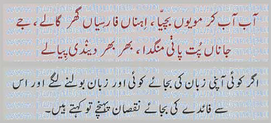 aab aab kar moyooN, 
آب آب کر مویوں بچیا