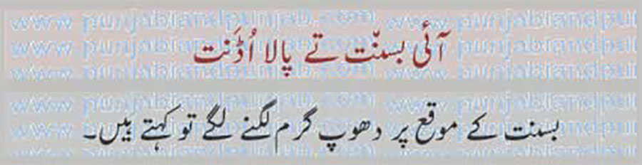کہاوت, اکھوت, اکھان, ضرب المثل, حکایت,ہدایت,مقولہ,proverb, ,
aaee basaNt te,,
آئی بسن٘ت تے